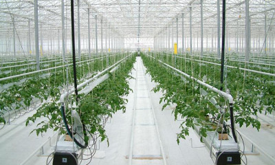 Агротекстиль Agrojutex белый 130г/м2 - 2.10x100м